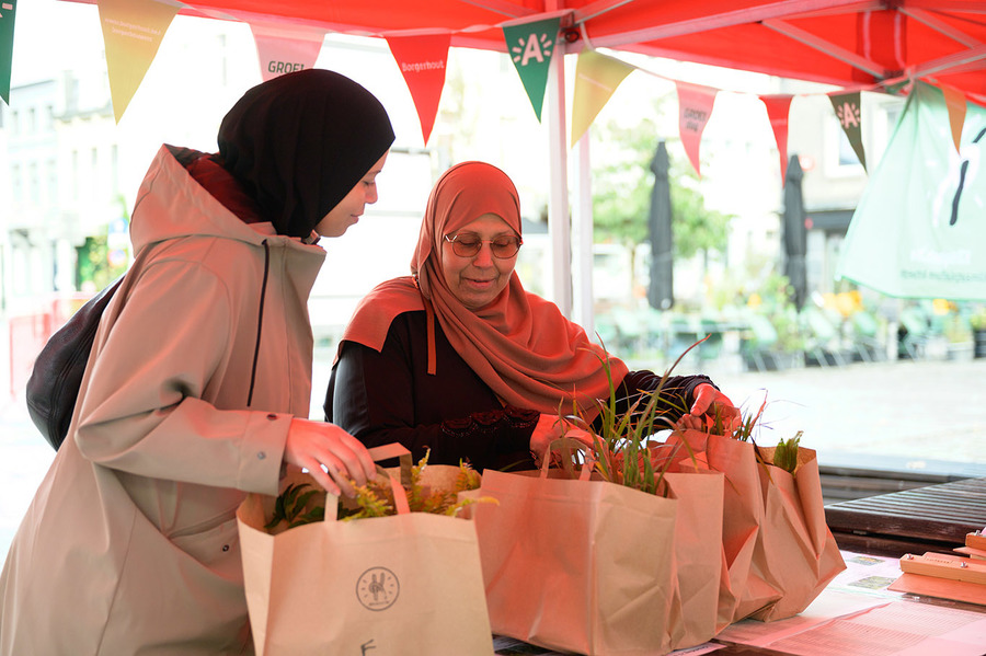 Gratis plantjes ophalen voor een geveltuintje